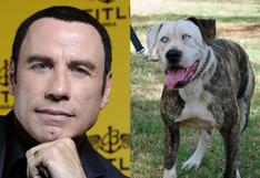John Travolta: Perro parecido al actor es un éxito en la red