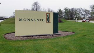 Monsanto: Sube a 8.000 los demandantes por cáncer por uso de herbicidas