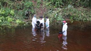 Amazonas: OEFA verifica si petróleo derramado afecta río Nieva