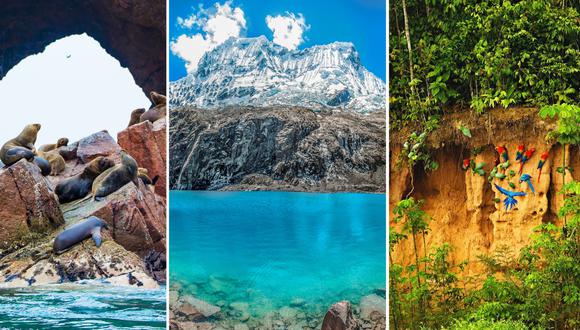 La riqueza del Perú en reservas naturales es inigualable. En esta nota, conoce qué destinos no puedes dejar de visitar. (Fotos: Shutterstock)