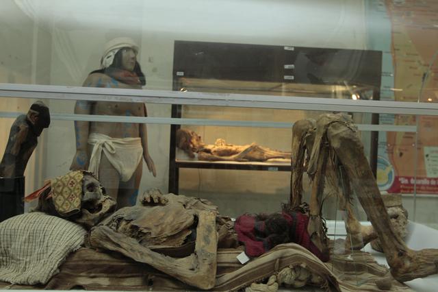Momia tatuada de Huacho y otras 4.000 piezas preíncas se conservan en urnas sin ventilación y con naftalina [FOTOS] - 4