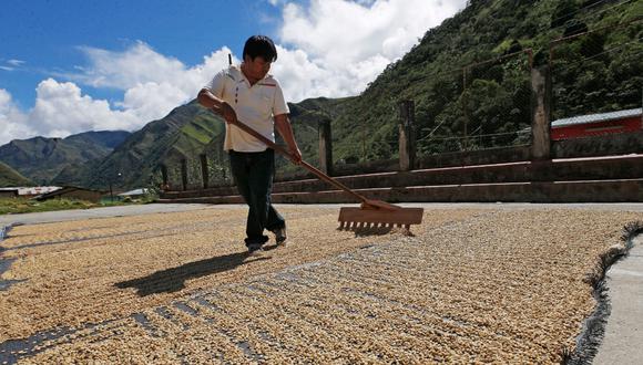 Según explica Prom-Perú, la producción de café peruano atiende tres demandas. (Foto: Dante Piaggio/Archivo)