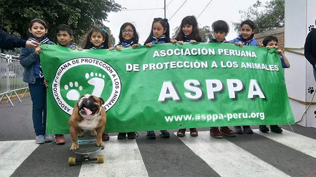 Se solidarizaron con perros sin hogar - 5