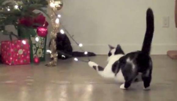 YouTube: cuando los gatos atacan... al árbol de Navidad (VIDEO)