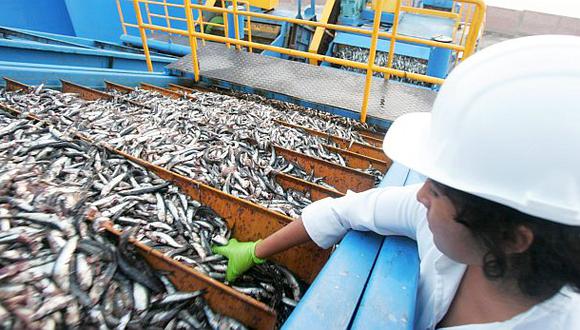 Pesca de anchoveta se suspende por tres días en parte del mar