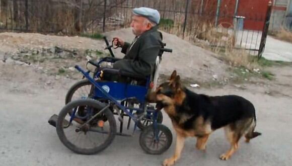 Antoly y Magnus son grandes amigos. La mascota ayuda siempre a su amo empujando su silla de ruedas. | Foto: @Thund3rB0lt