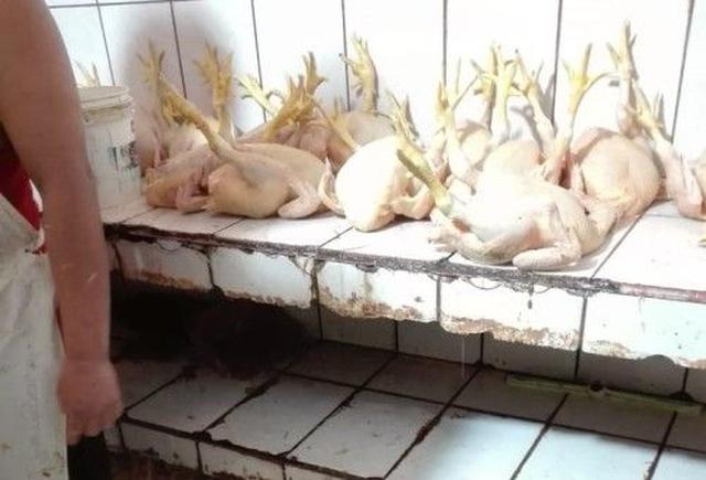 Los agentes de la PNP y personal del área de fiscalización de la Municipalidad de Chorrillos incautaron cinco toneladas de carne de aves en presuntas condiciones insalubres. (Foto: Municipalidad de Chorrillos)