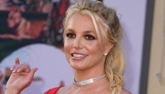 Britney Spears cautiva a sus fans tatuada con henna y en ropa de baño de animal print. (Foto: AFP/Valerie Macon)