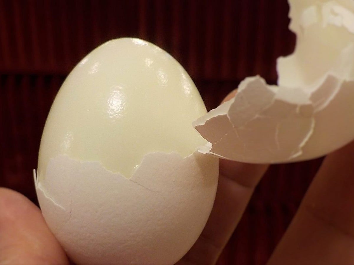 Huevo cocido – Huevos duros sin la cáscara, 6 unidas – Nuevas Compras