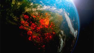 La Amazonía podría pasar de aspirador de CO2 a emisor del gas contaminante 