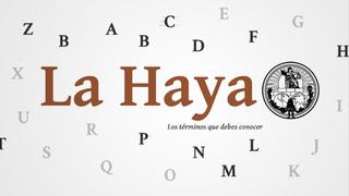 Glosario interactivo de La Haya: los términos que debes conocer