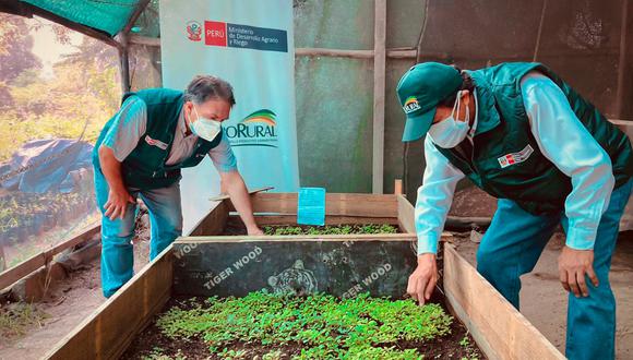 Ministerio de Desarrollo Agrario y Riego. (Foto: Midagri)