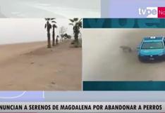 Serenos de Magdalena del Mar son acusados de abandonar en la Costa Verde a perro que habían rescatado de la calle