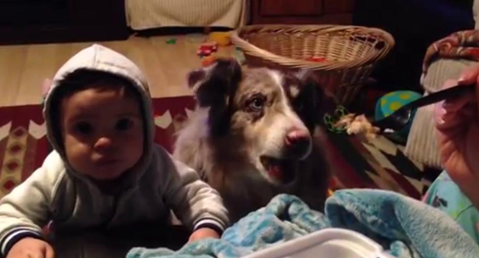 Youtube Viral Le Ensenaba A Su Bebe A Decir Mama Pero Vino El Perro Y Se Lo Termino Diciendo Antes Video Yt Yutub Nnda Nnrt Virales Mag