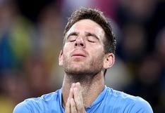 Del Potro opinó del regreso de Messi a la Selección Argentina