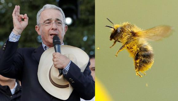 Colombia | Ataque de abejas africanizadas deja 15 heridos en acto público de Álvaro Uribe. (Foto: AFP)