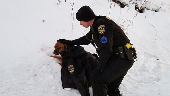 La foto en la que un policía consuela a un perro que había sido atropellado se hizo viral en Facebook | Foto: Chautauqua County Sheriff