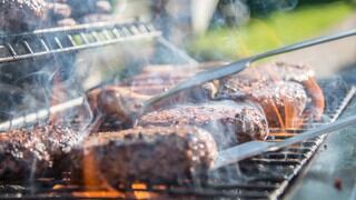 Vegana harta de los olores de la carne demanda a sus vecinos para que dejen de hacer parrillas en sus patios