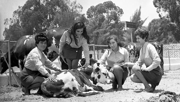 Hace 50 años abrió sus puertas la Feria Agropecuaria de La Molina. Foto: GEC Archivo Histórico
