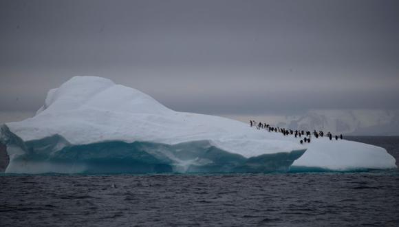 Un grupo de pingüinos de barbijo camina sobre un iceberg que flota cerca del canal Lemaire, en la Antártida. (Foto: REUTERS/Ueslei Marcelino/archivo).