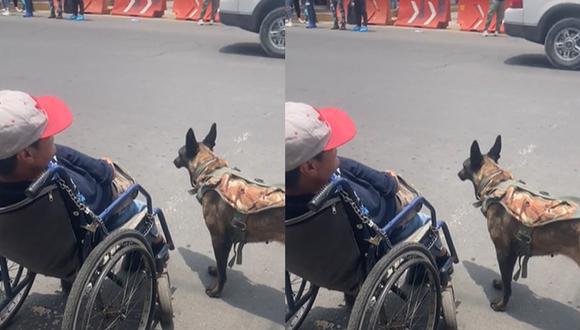 Conoce más sobre la tierna mascota. (Foto: Captura/TikTok-brendabriones9)