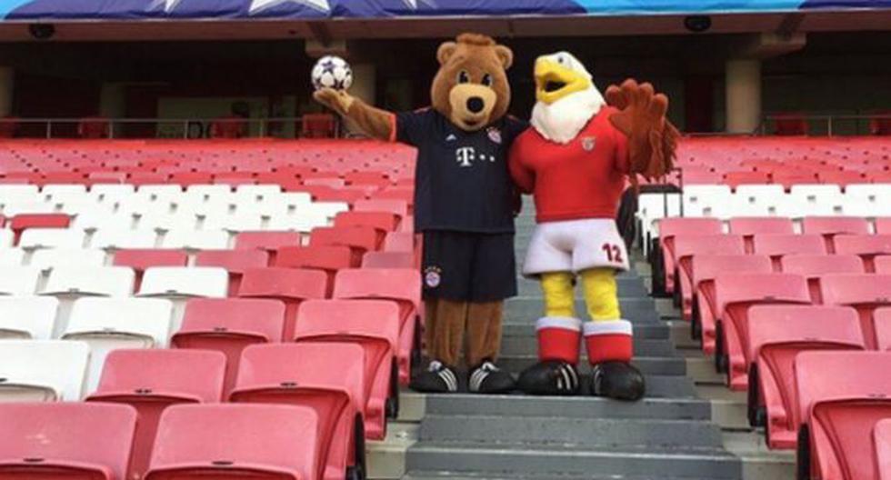 El oso Berni y el águila Vitória ya tienen puesta la camiseta con número 12 para también salir a la cancha y alentar a los jugadores. (Foto: Instagram)