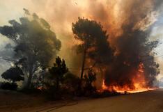 Uruguay: Nuevo incendio arrasa con un aserradero en la costa este
