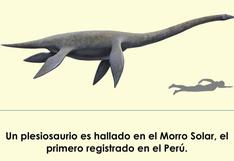 Científicos hallan por primera vez un plesiosaurio en el Perú