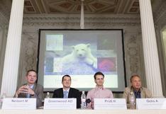 Oso polar Knut murió de encefalitis solo asociada a humanos