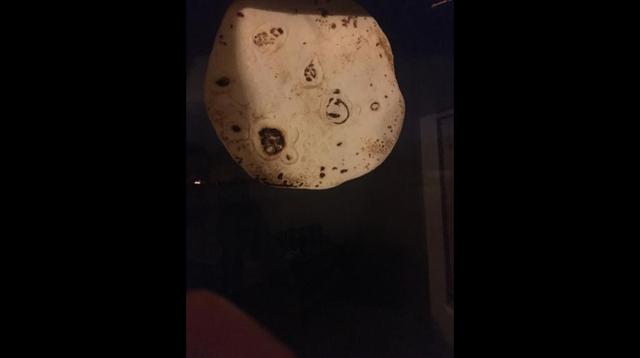 Twitter y Facebook se burlaron de la superluna con tortillas - 6
