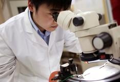 Científicos chinos logran secuenciar el genoma de la vieira