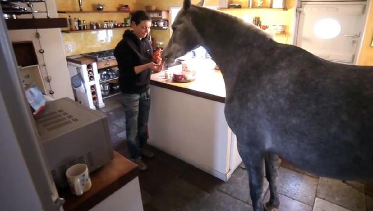 Una mujer vive con un caballo literalmente