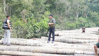 Fortalecen a comunidades nativas frente al tráfico ilegal de madera Amazonía