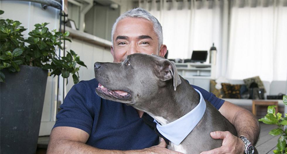 César Millán te da tips para poder controlar a tu perro en los paseos. (Foto: GettyImages)
