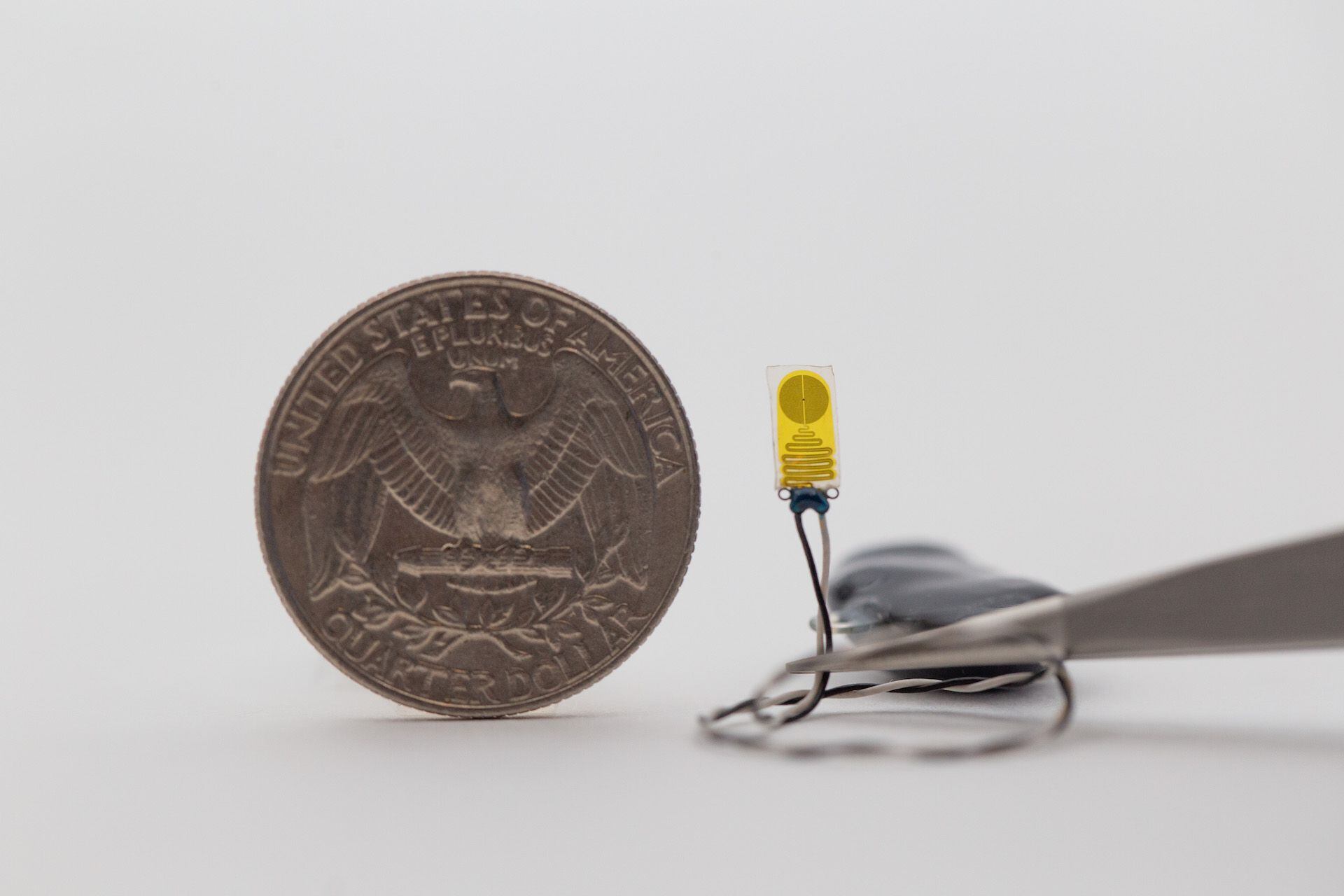 El prototipo del sistema electrónico implantable en un riñón trasplantado es más pequeño que una moneda de un cuarto de dólar.