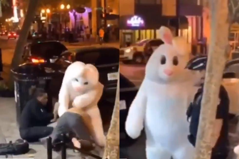 Este conejo de Pascua se enfrentó en una brutal batalla ante otra persona por defender a su amigo. (Foto: Twitter)