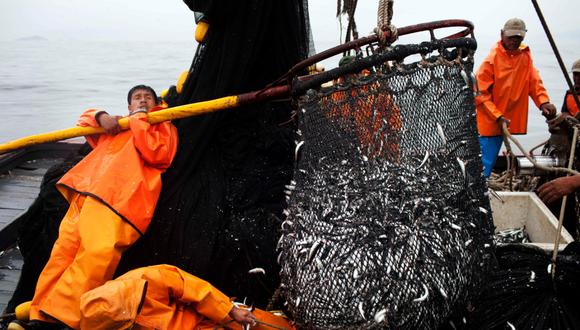 El sector que tuvo un comportamiento más dinámico fue el pesquero. Su producción avanzó 14,28%, ante un mayor desembarque de especies de origen marítimo y continental. (Foto: AP)