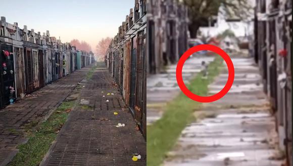 La cuidadora de un cementerio, en Argentina, grabó lo que ella llama un "ángel" y el video se volvió viral en TikTok. (Foto: TikTok/fin_de1.ciclo).