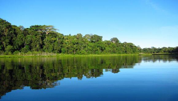 Poder Ejecutivo observó proyecto que realiza cambios a la Ley Forestal. (Foto: Andina)