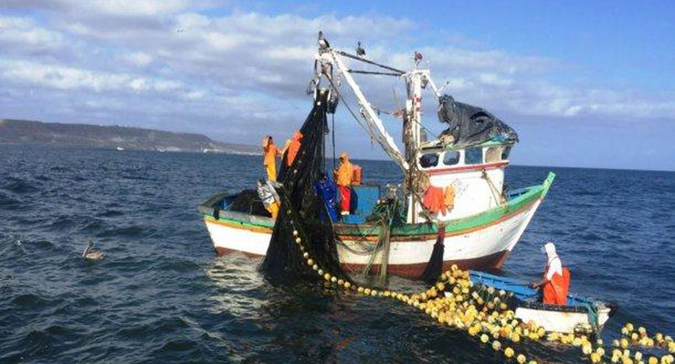 Imarpe anunció que encontró cerca de 11 millones de toneladas de anchoveta en el mar peruano. (Foto: Andina)