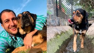 WUF: Vivió 5 años en un albergue hasta que encontró un hogar lleno de amor