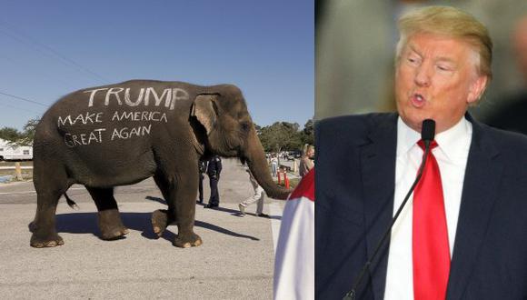 Donald Trump utiliza un elefante para su campaña en Florida