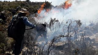 Arequipa: incendio forestal arrasa más de mil hectáreas y causa graves daños | FOTOS