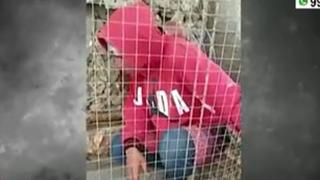 Ladrón de loros es encerrado en la misma jaula de las aves en Chiclayo | VIDEO 
