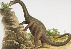 Descrubren nueva especie de dinosaurio de cuello largo en Australia