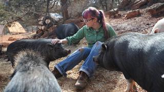 Disfruta de unas vacaciones ayudando en este santuario animal