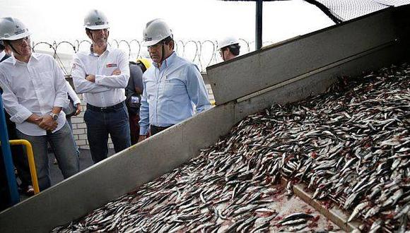 Segunda temporada de pesca de anchoveta podría retrasarse