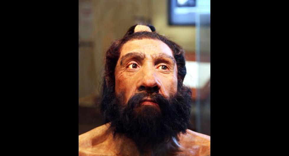 Reconstrucción de la cabeza de un hombre Neandertal. (Foto: Tim Evanson / Flickr)