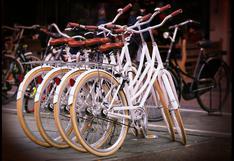 Holandeses recorrieron una media de mil kilómetros en bicicleta en 2014