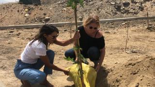 Somos y Entre Árboles siembran un árbol en Manchay como iniciativa para forestar Lima